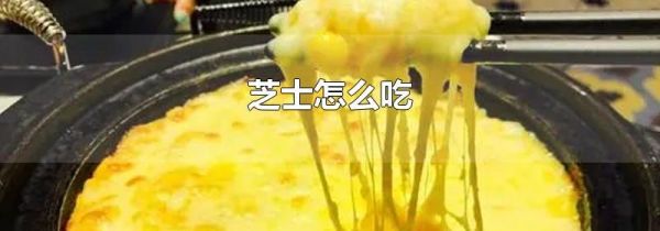 芝士怎么吃