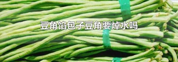 豆角馅包子豆角要焯水吗