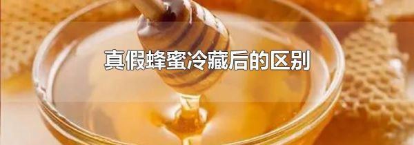 真假蜂蜜冷藏后的区别