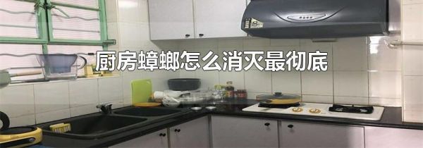 厨房蟑螂怎么消灭最彻底
