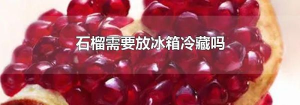 石榴需要放冰箱冷藏吗
