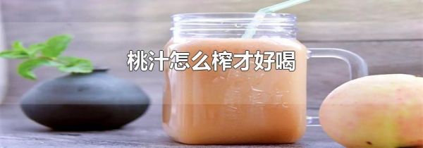 桃汁怎么榨才好喝