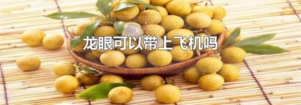 龙眼可以带上飞机吗