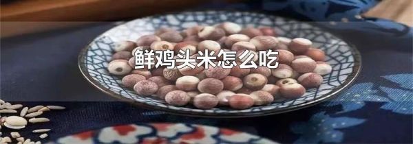 鲜鸡头米怎么吃
