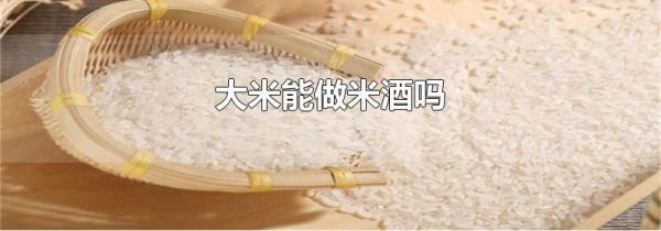 大米能做米酒吗
