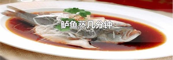 鲈鱼蒸几分钟