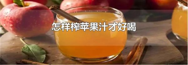 怎样榨苹果汁才好喝