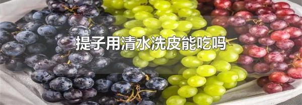 提子用清水洗皮能吃吗