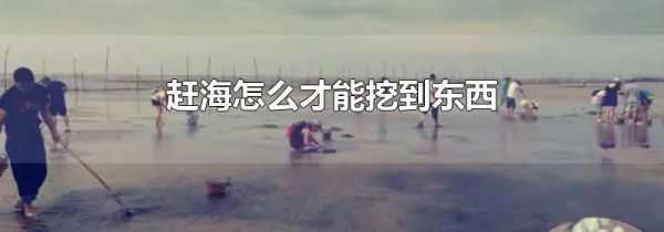 赶海怎么才能挖到东西