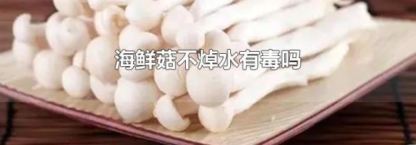 海鲜菇不焯水有毒吗