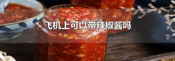 飞机上可以带辣椒酱吗