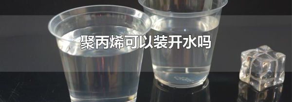聚丙烯可以装开水吗