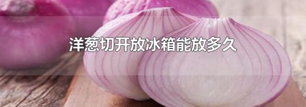 洋葱切开放冰箱能放多久