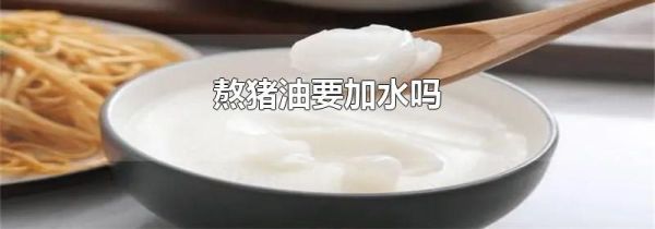 熬猪油要加水吗