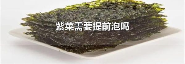 紫菜需要提前泡吗