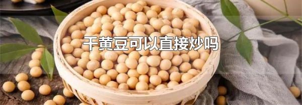 干黄豆可以直接炒吗