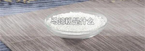 马蹄粉是什么