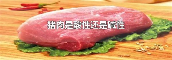 猪肉是酸性还是碱性