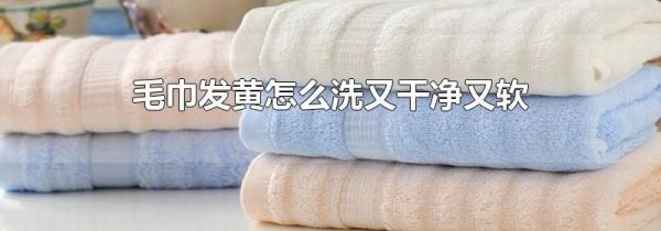 毛巾发黄怎么洗又干净又软