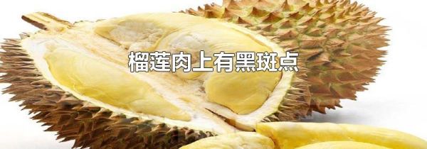 榴莲肉上有黑斑点