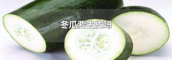 冬瓜要去皮吗