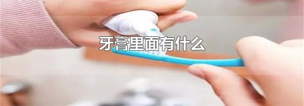 牙膏里面有什么