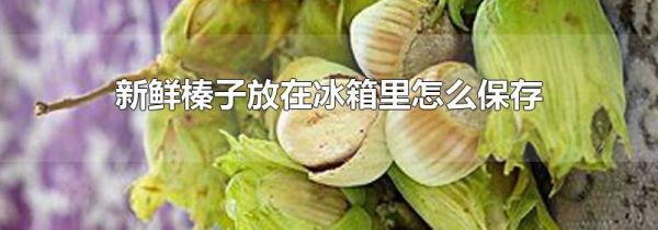 新鲜榛子放在冰箱里怎么保存