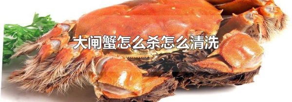 大闸蟹怎么杀怎么清洗