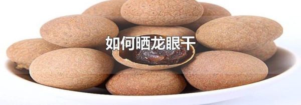 如何晒龙眼干