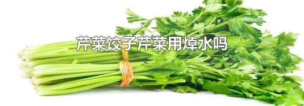 芹菜饺子芹菜用焯水吗