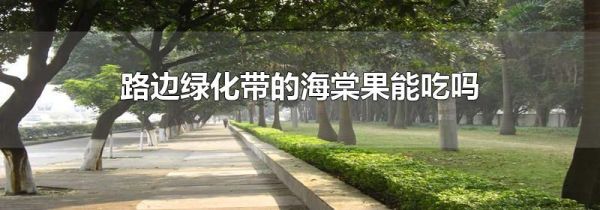 路边绿化带的海棠果能吃吗