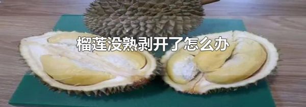 榴莲没熟剥开了怎么办
