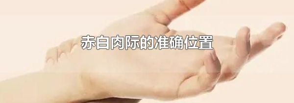 赤白肉际的准确位置
