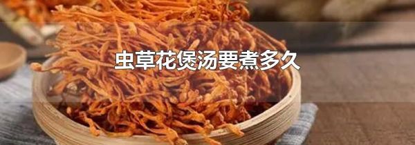 虫草花煲汤要煮多久
