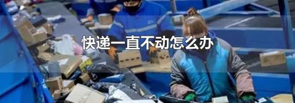 快递一直不动怎么办
