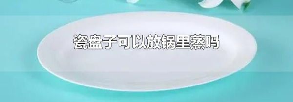 瓷盘子可以放锅里蒸吗