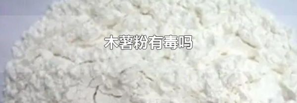 木薯粉有毒吗