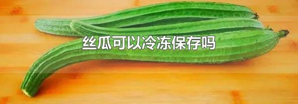丝瓜可以冷冻保存吗