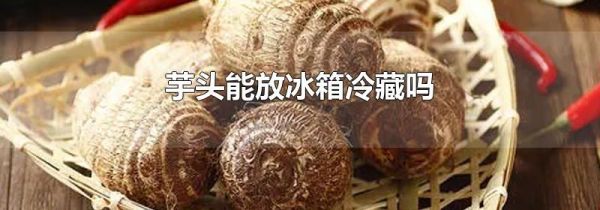 芋头能放冰箱冷藏吗