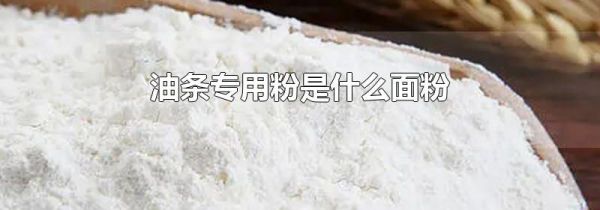 油条专用粉是什么面粉