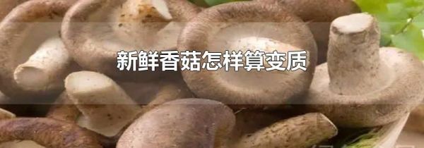 新鲜香菇怎样算变质
