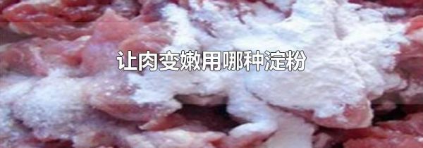 让肉变嫩用哪种淀粉