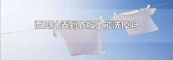 西瓜汁弄到衣服上能洗掉吗