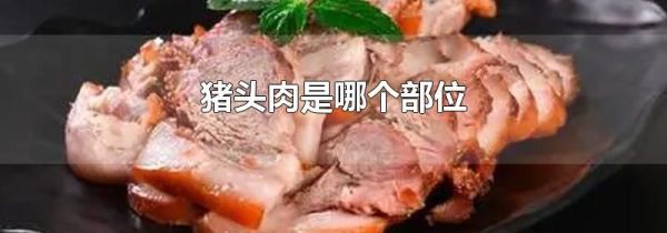 猪头肉是哪个部位