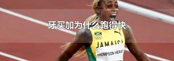 牙买加为什么跑得快
