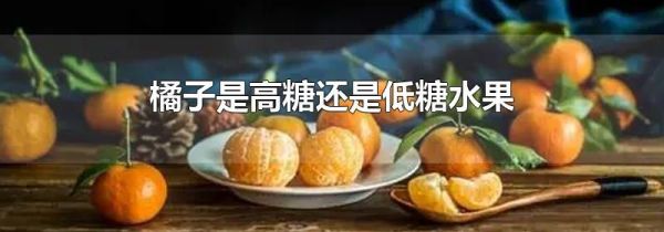 橘子是高糖还是低糖水果
