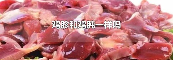 鸡胗和鸡肫一样吗