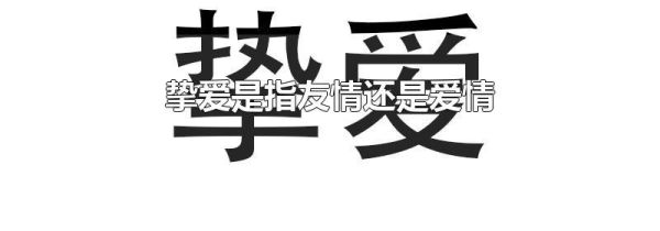 挚爱是指友情还是爱情
