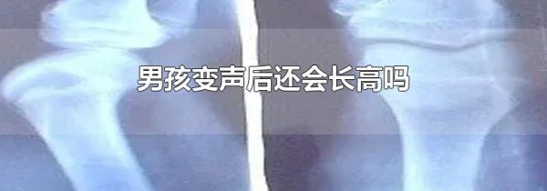 男孩变声后还会长高吗