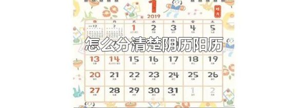 怎么分清楚阴历阳历